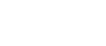 Visa Icon (Selected)